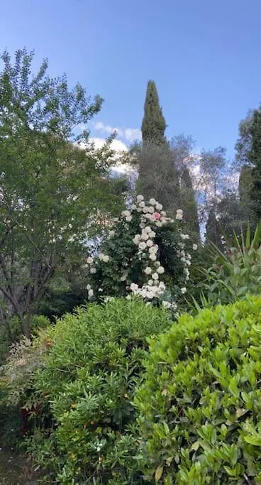 Appartement Terrasse Grasse Apartment